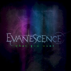 What You Want album by Evanescence