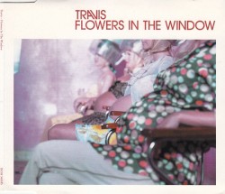 Flowers in the Window