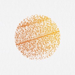 Beautiful Distortion