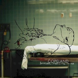 Beneath Medicine Tree