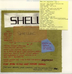 The Bird Is the Most Popular Finger