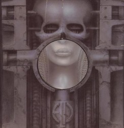 Brain Salad Surgery