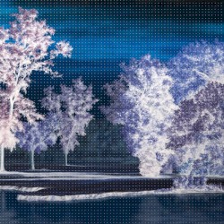 The Last Quiet Place