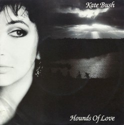 Hounds Of Love / The Handsome Cabin Boy