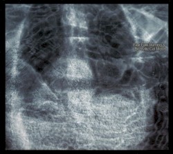 Fear Falls Burning & Birchville Cat Motel