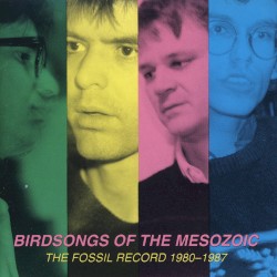 The Fossil Record 1980-1987