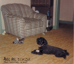 Trois chaudières de sang