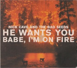 He Wants You / Babe I'm on Fire