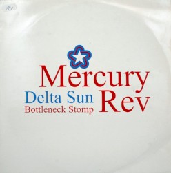 Delta Sun Bottleneck Stomp