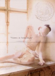 Flowers in Formaldehyde