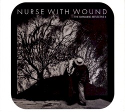 The Swinging Reflective II