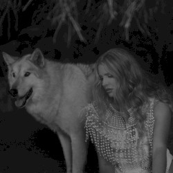 Chemtrails over the Country Club