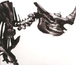 Mr. Children 1996-2000