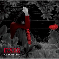 Fixer (While the Women Are Sleeping)