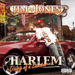 Harlem: Diary of a Summer