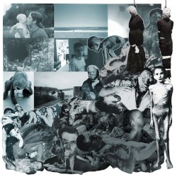 Rudiments of Mutilation