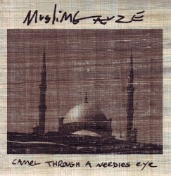 Camel Through a Needles Eye