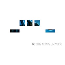 This Binary Universe