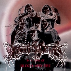 In a Time of Blood and Fire album by Nocturnal Rites