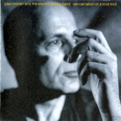 Reincarnation of a Love Bird