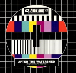 After the Watershed (Early Learning the Hard Way)