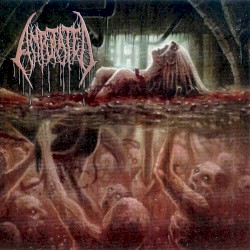 Wading Through Rancid Offal