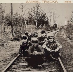 Animal Tracks
