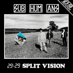 29:29 Split Vision
