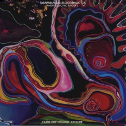 Angry Eelectric Finger 2: Paraparaparallellogrammatica