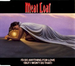 I'd Do Anything For Love (But I Won't Do That)