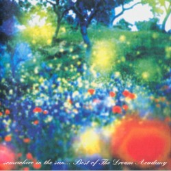 Somewhere in the Sun... Best of the Dream Academy