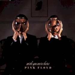 Wish You Were Here (Live)