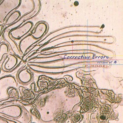 Corrective Errors〜remix of Fune