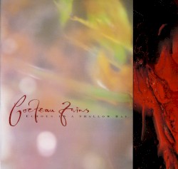 Echoes in a Shallow Bay