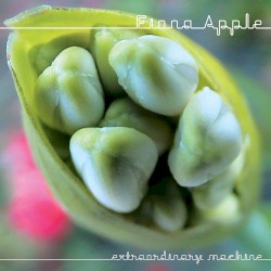 Extraordinary Machine album by Fiona Apple