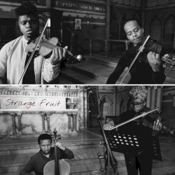 Strange Fruit album by Edward W. Hardy