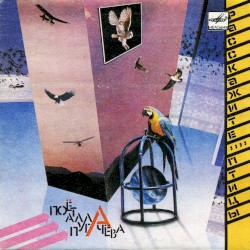 Расскажите, птицы / Айсберг