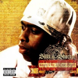 Based on a True Story