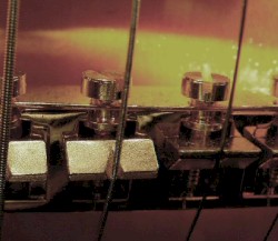 I'm one of those monsters numb with grace