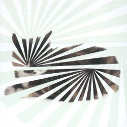 Poor Aim: Love Songs