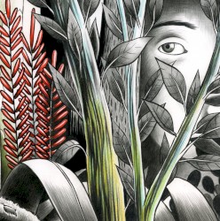 Vers les lueurs album by Dominique Ané