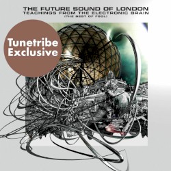 Teachings from the Electronic Brain