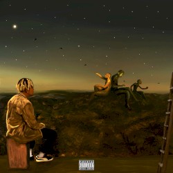 From a Birds Eye View