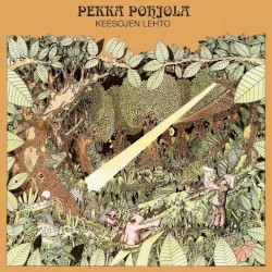 The Mathematician's Air Display