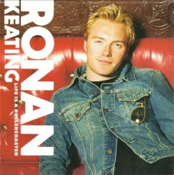 Life Is a Rollercoaster