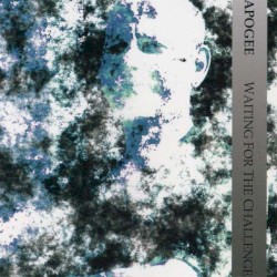 Waiting for the challenge