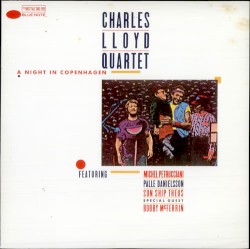 A Night in Copenhagen