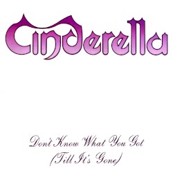 Don't Know What You Got (Till It's Gone)