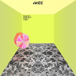 Juice album by John Scofield