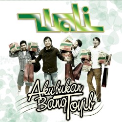 Aku Bukan Bang Toyib